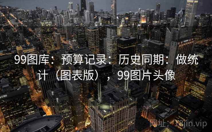 99图库：预算记录：历史同期：做统计（图表版），99图片头像